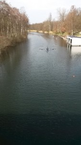 Die letzten Meter vor der Zieldurchfahrt